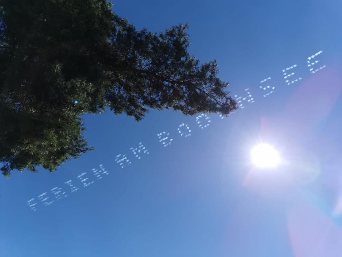 Gaestehaus Zum Landesteg Immenstaad am Bodensee Exteriér fotografie
