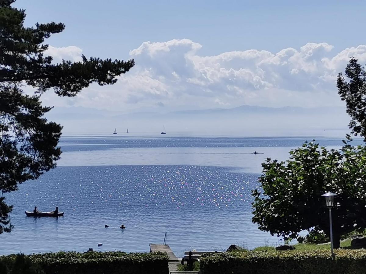 Gaestehaus Zum Landesteg Immenstaad am Bodensee Exteriér fotografie