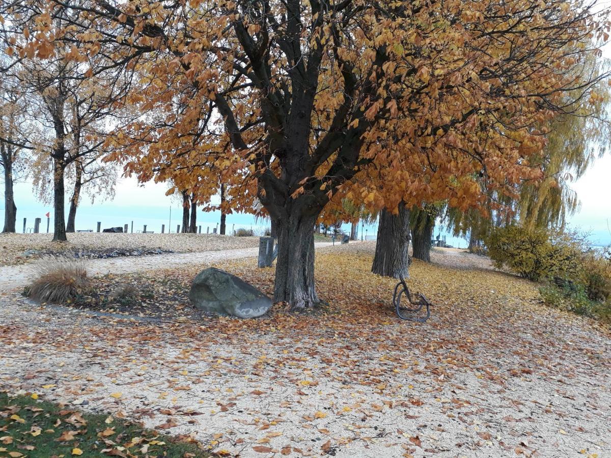 Gaestehaus Zum Landesteg Immenstaad am Bodensee Exteriér fotografie